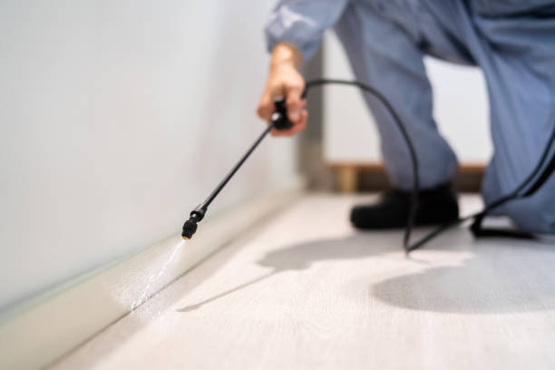 Licensed Pest Control service in Alderton, WA - Show Me Pest Control