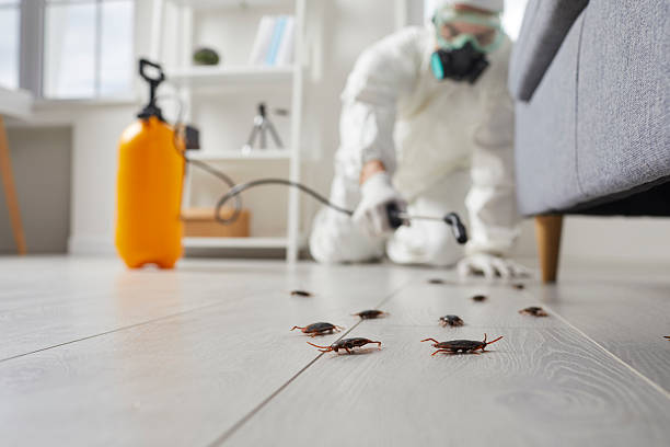 Commercial Kitchen Cockroach Control in Alderton